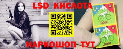 амф Новозыбков