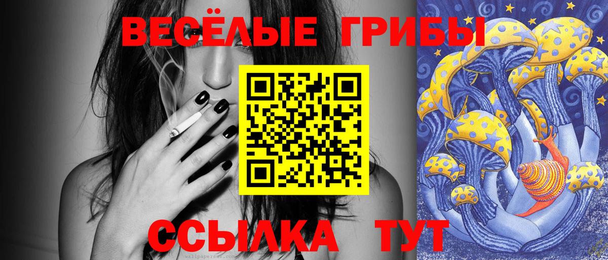 Псилоцибиновые грибы прущие грибы Богородицк