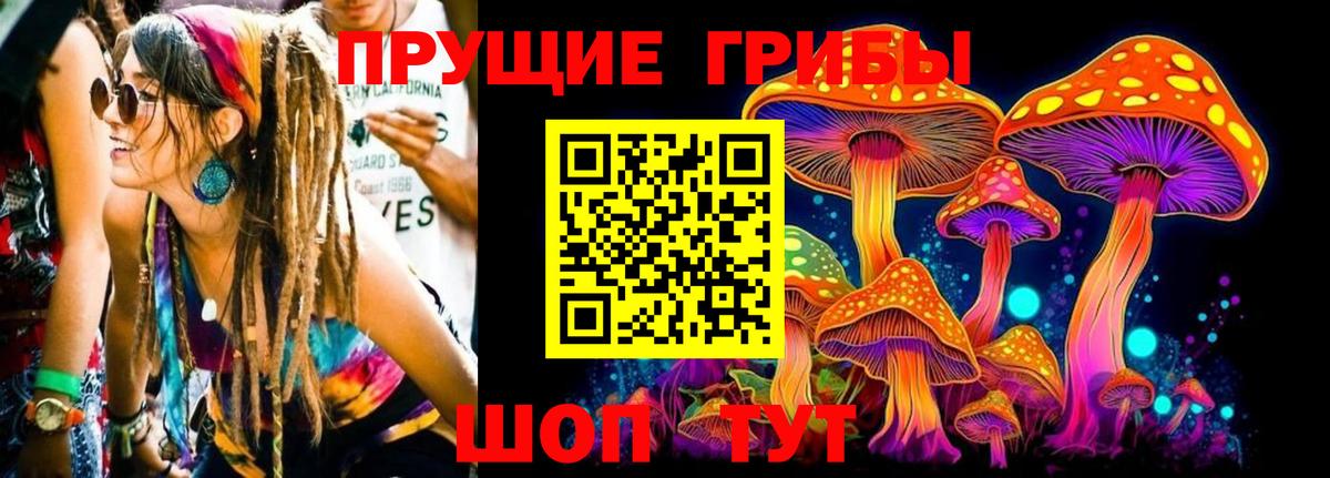 Псилоцибиновые грибы MAGIC MUSHROOMS  Вход с VPN  Богородицк 